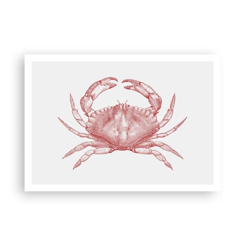 Plakat - Krabbe over krabber - 100x70 cm
