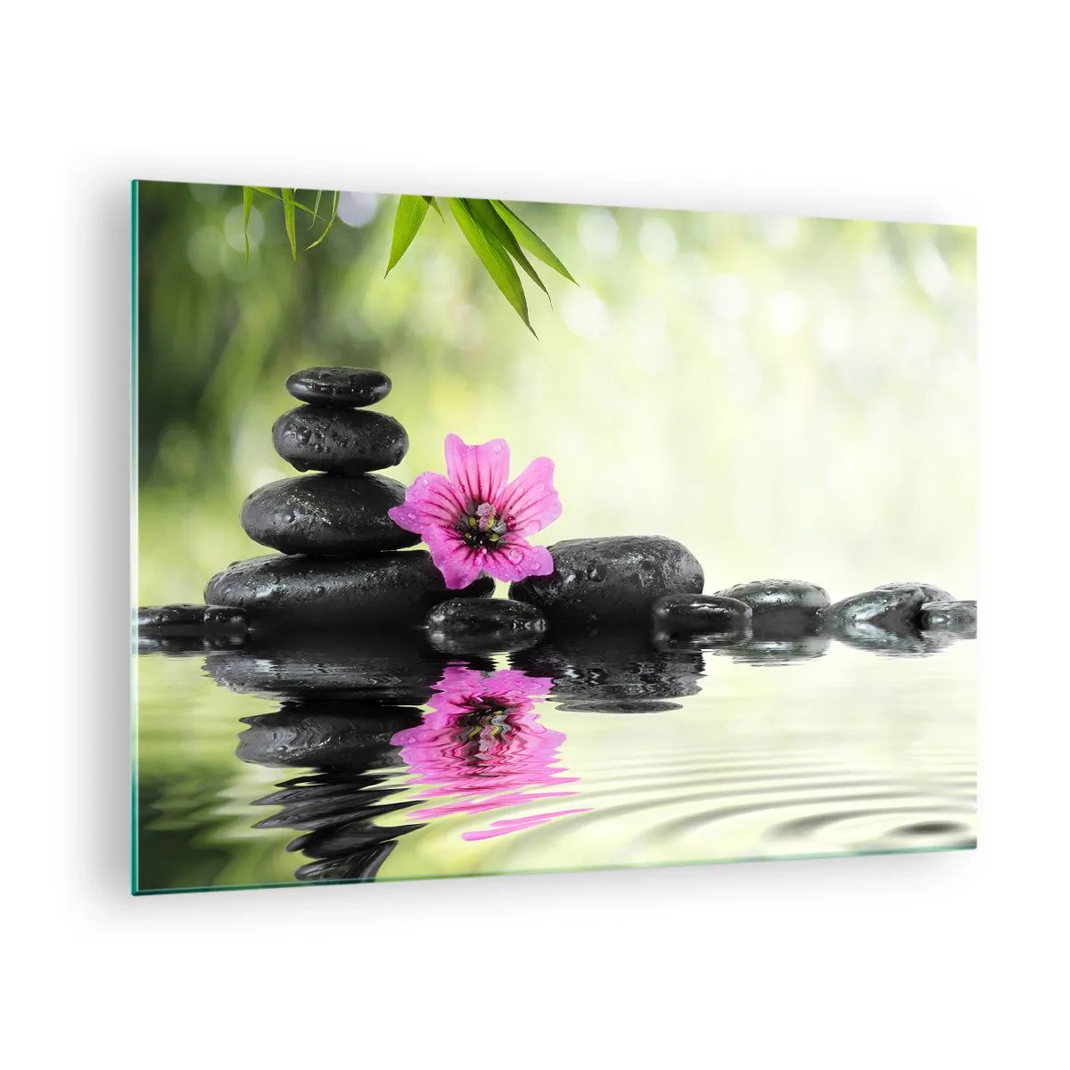 Billede på glas - Sorte sten og en lyserød blomst mod naturens baggrund - 70x50cm - Tid til sjælen - Moderne vægdekoration til stue og soveværelse ARTTOR