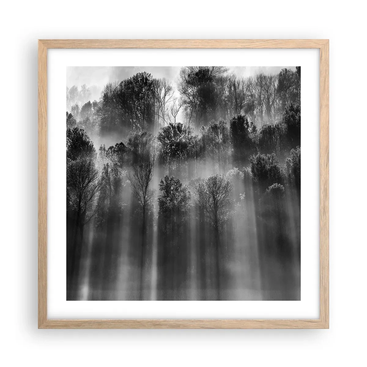 Plakat i ramme af lyst egetræ - I stråler af lys - 50x50 cm