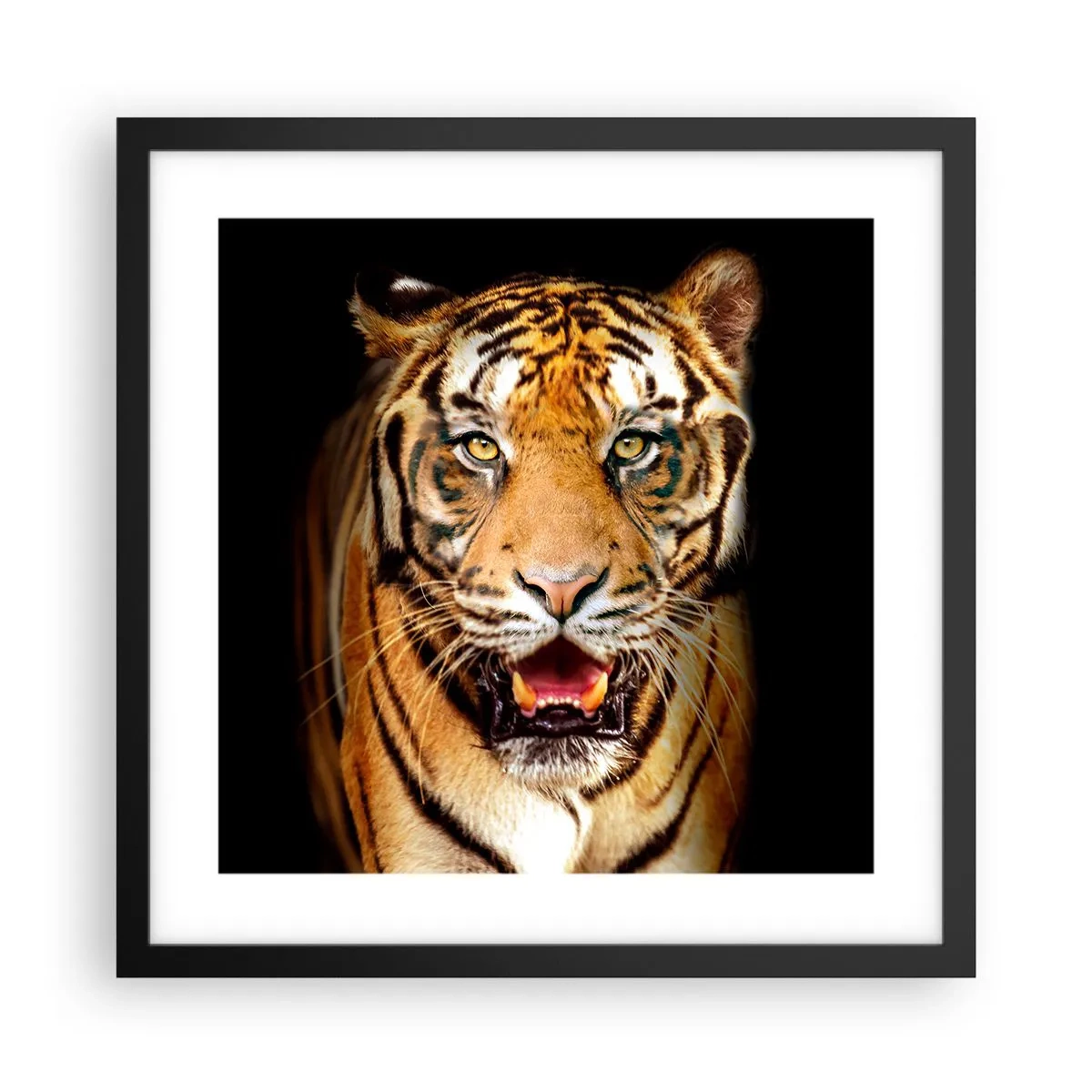 Plakat i sort ramme - Vild i hjertet - 40x40 cm