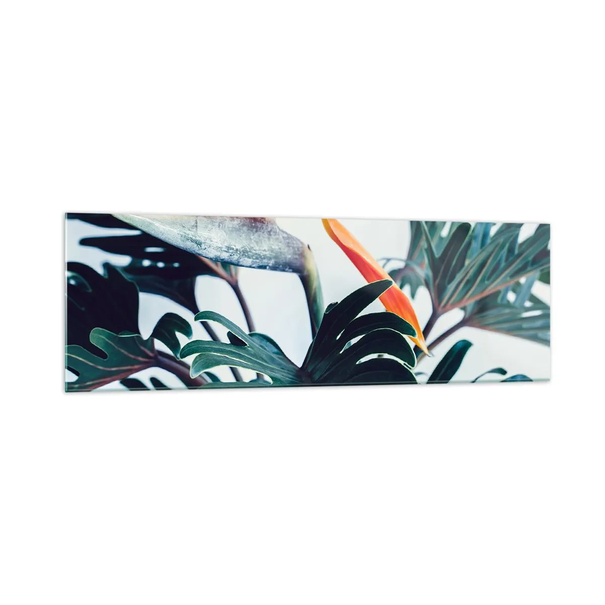 Billede på glas - Fuglebur - 160x50 cm