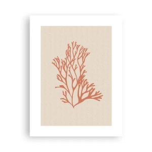 Plakat - Koral filigran - 30x40 cm