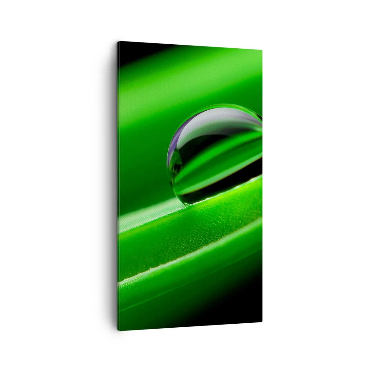 Lærredstryk - Billede på lærred - Livet på tæt hold - 45x80 cm