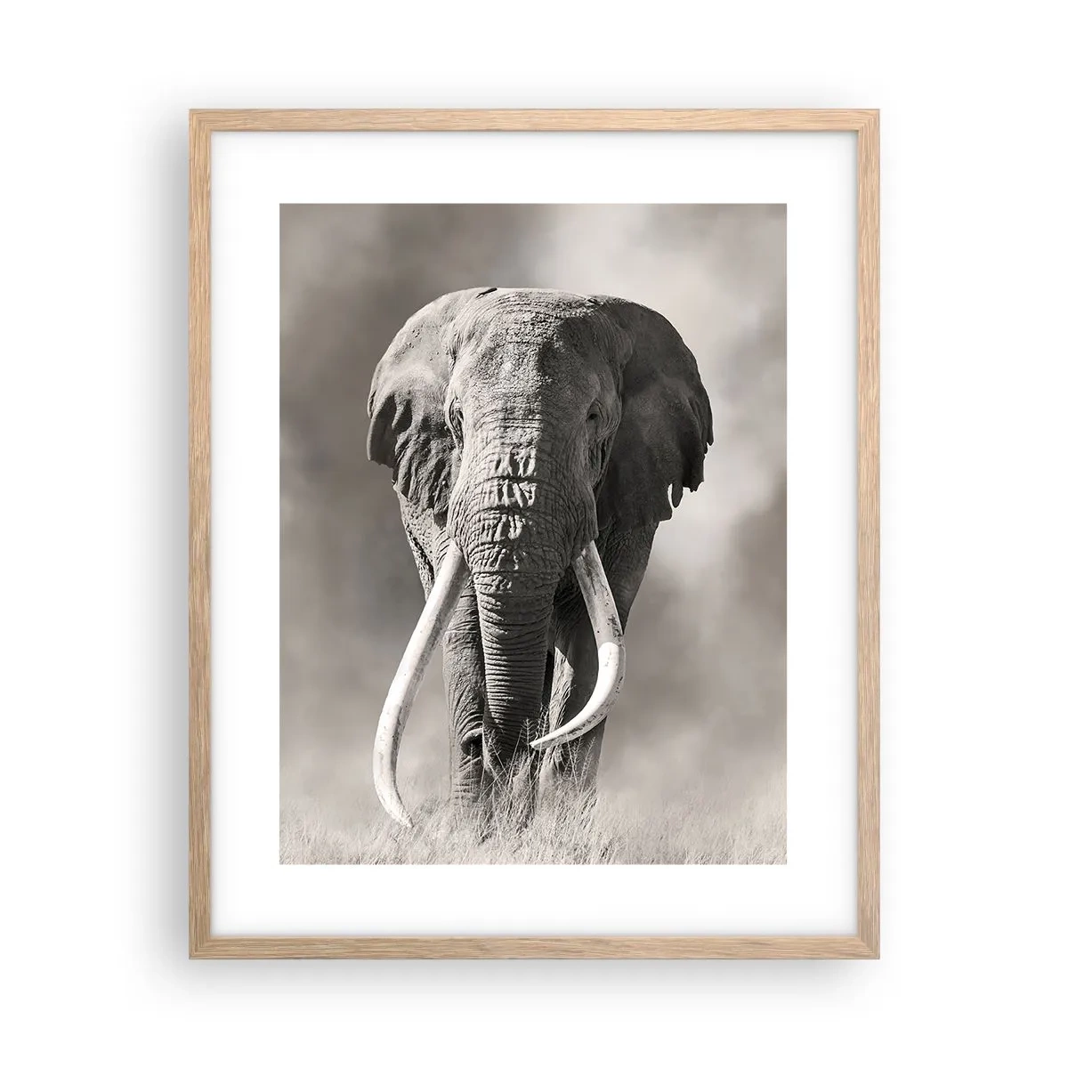 Plakat i ramme af lyst egetræ - Afrikansk patriark - 40x50 cm