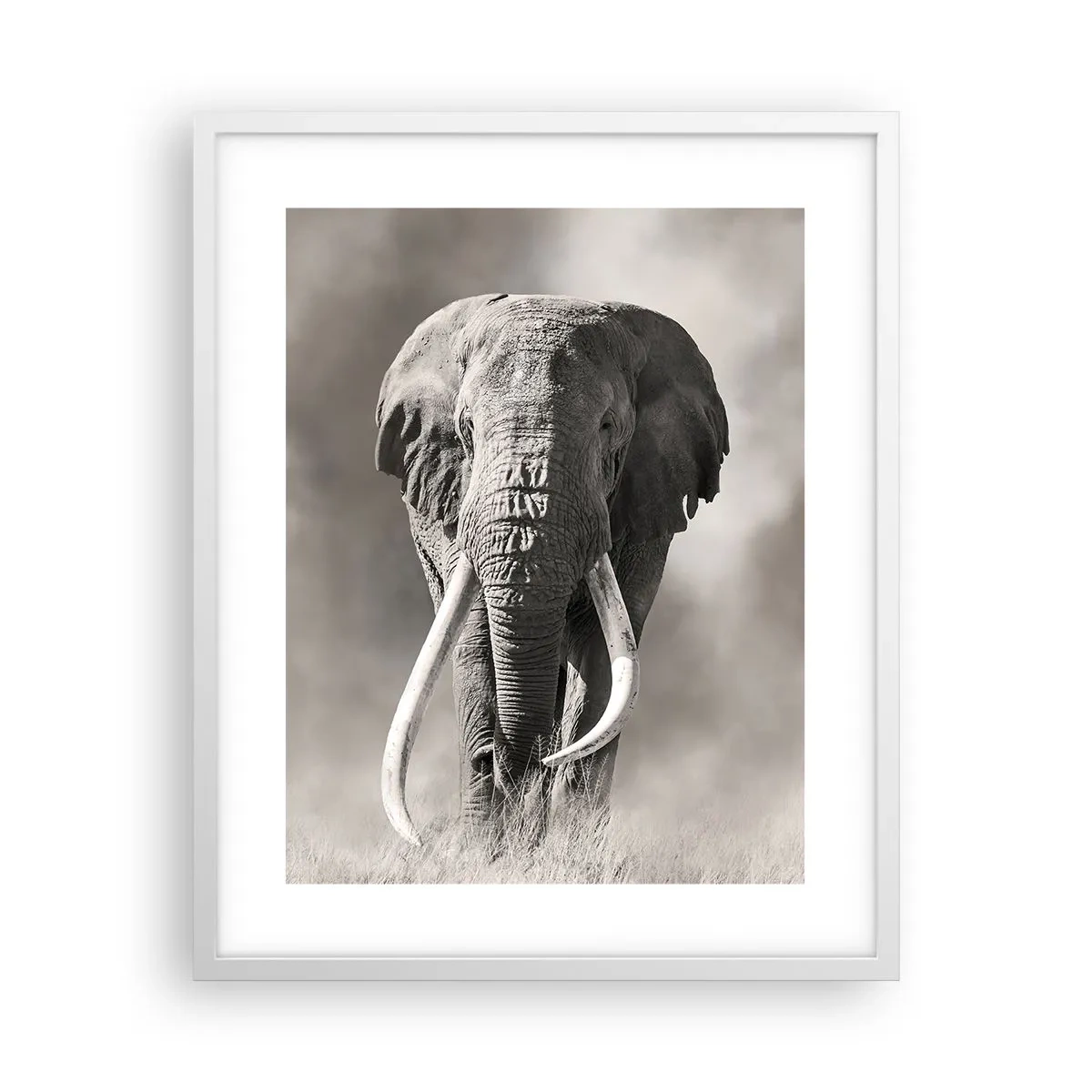 Plakat i hvid ramme - Afrikansk patriark - 40x50 cm
