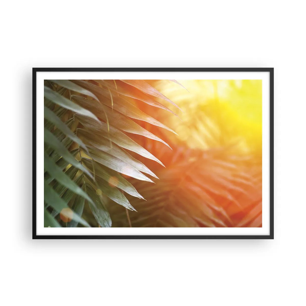 Plakat i sort ramme - Morgen i junglen - 100x70 cm