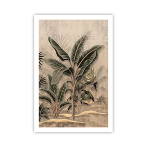 Plakat - Gravering i kolonistil - 61x91 cm