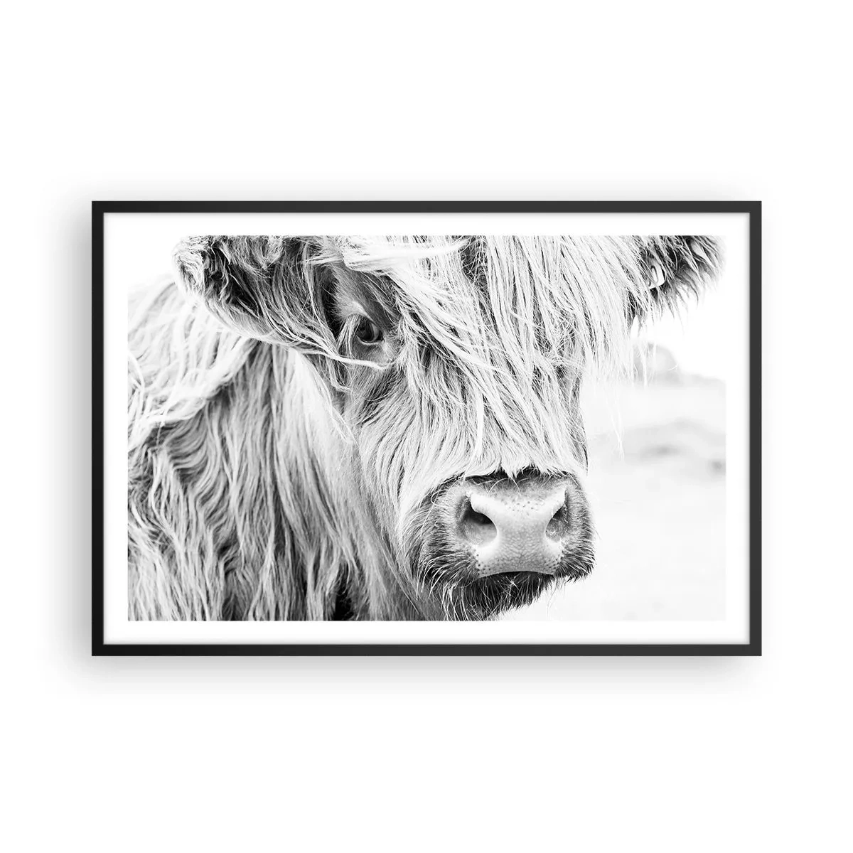 Plakat i sort ramme - Skotsk vildmark - 91x61 cm