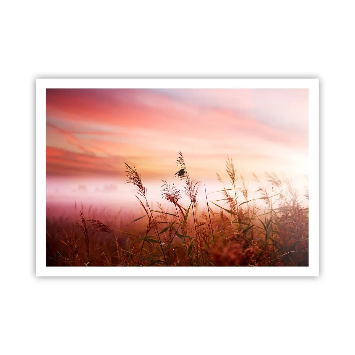 Plakat - Drager, blæsere, vind - 100x70 cm