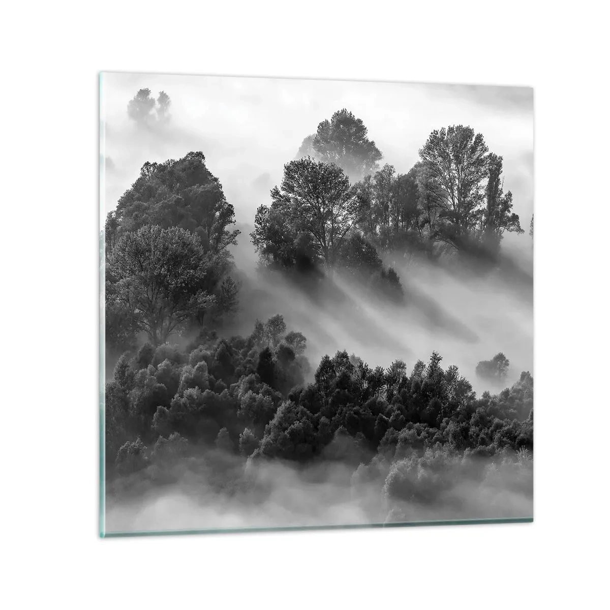 Billede på glas - At vågne fra søvnen - 70x70 cm