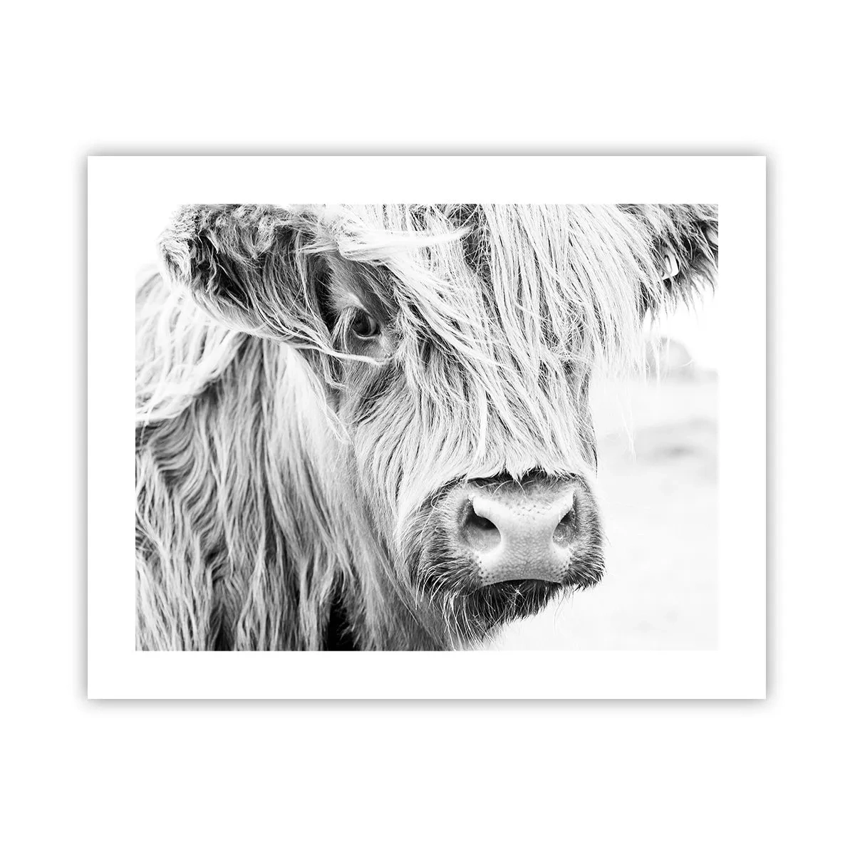 Plakat - Skotsk vildmark - 50x40 cm