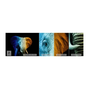 Fototapet Prøve Standard Eco - Excentrisk, ikke underlig - Abstraktion, Elefant, Dyr - 100x30 cm