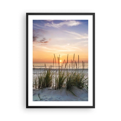Plakat i sort ramme - Strand med vegetation ved solopgang - 50x70cm - Se, tænk, føl - Moderne vægdekoration til stue og soveværelse ARTTOR