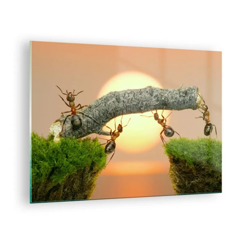 Billede på glas - Myrer bygger en bro ved solnedgang - 70x50cm - Glædeligt, fælles arbejde - Moderne vægdekoration til stue og soveværelse ARTTOR