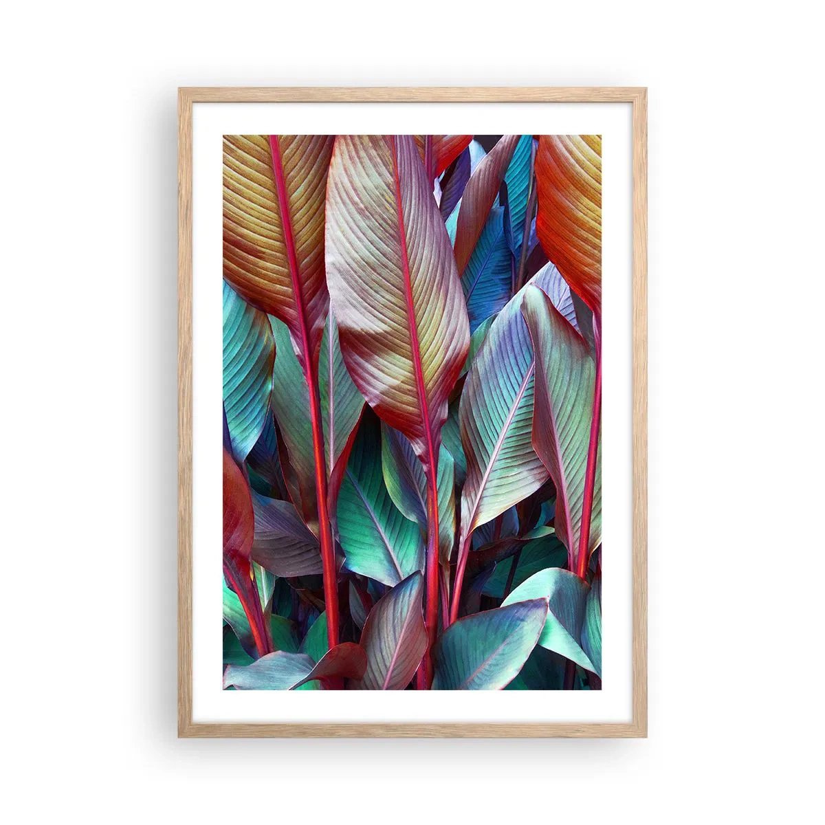 Plakat i ramme af lyst egetræ - Farverigt krat - 50x70 cm