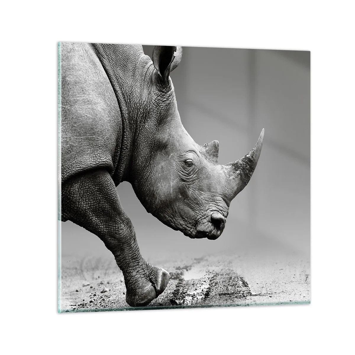 Billede på glas - En ustoppeli - 70x70 cm