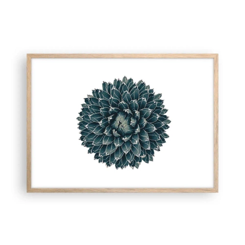 Plakat i ramme af lyst egetræ - Ørkenstjerne - 70x50 cm