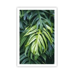 Plakat - Fordyb dig i friskhed - 61x91 cm