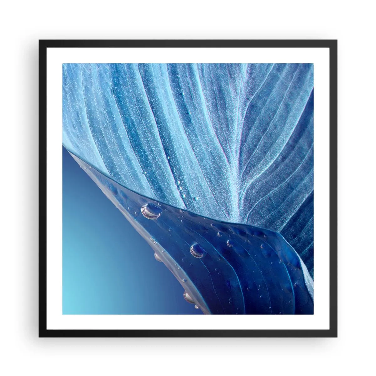 Plakat i sort ramme - Skjulte dråber af blåt - 60x60 cm