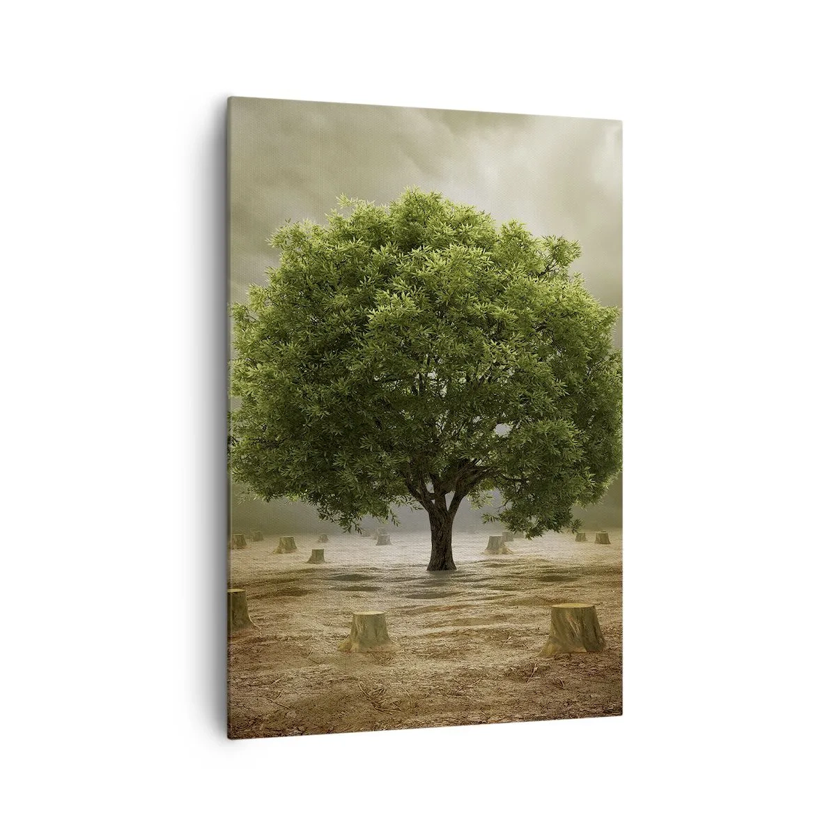 Lærredstryk - Billede på lærred - Alt håb - 70x100 cm