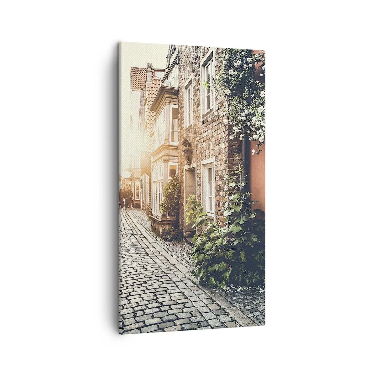 Lærredstryk - Billede på lærred - En rosengyde i et lyserødt skær - 45x80 cm