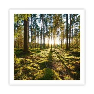 Plakat - ...Bag de syv skove - 60x60 cm