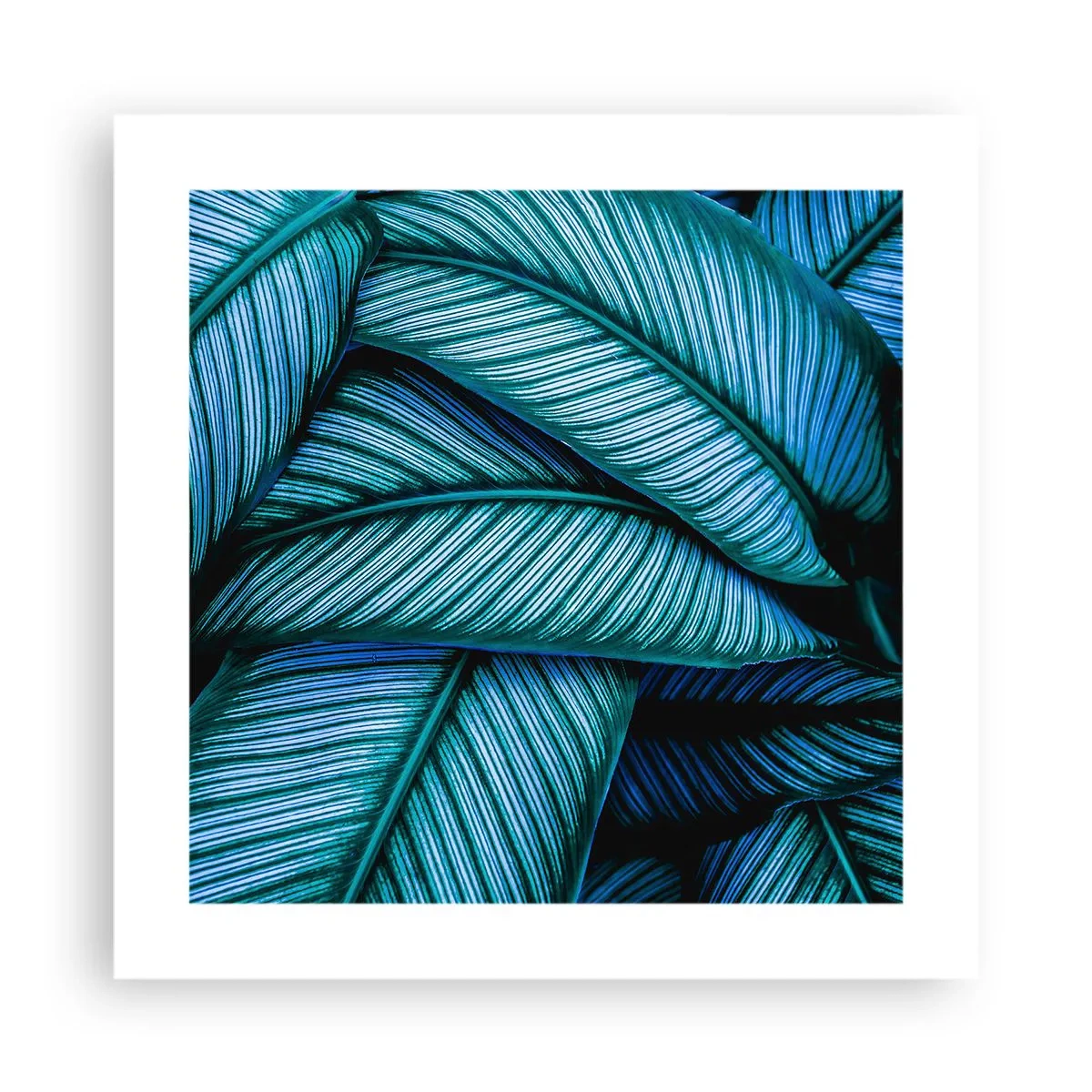 Plakat - Livslinjer - 40x40 cm