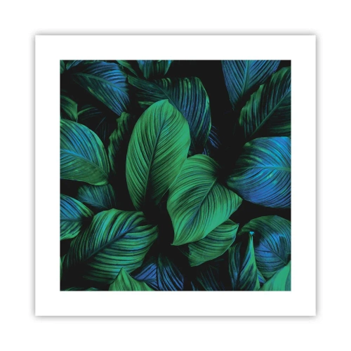 Plakat - I den grønne flok - 40x40 cm