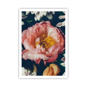 Plakat - Med barok pragt - 70x100 cm