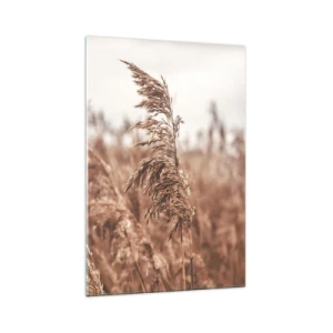 Billede på glas - Efteråret er allerede på markerne - 70x100 cm