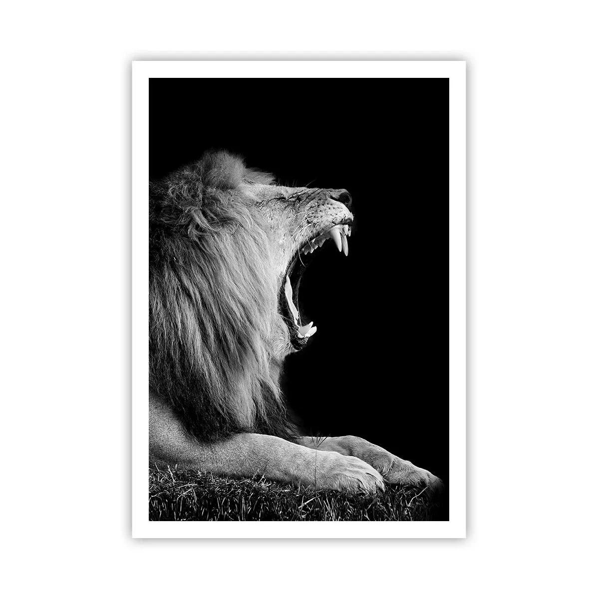 Plakat - Uden tvivl - 70x100 cm