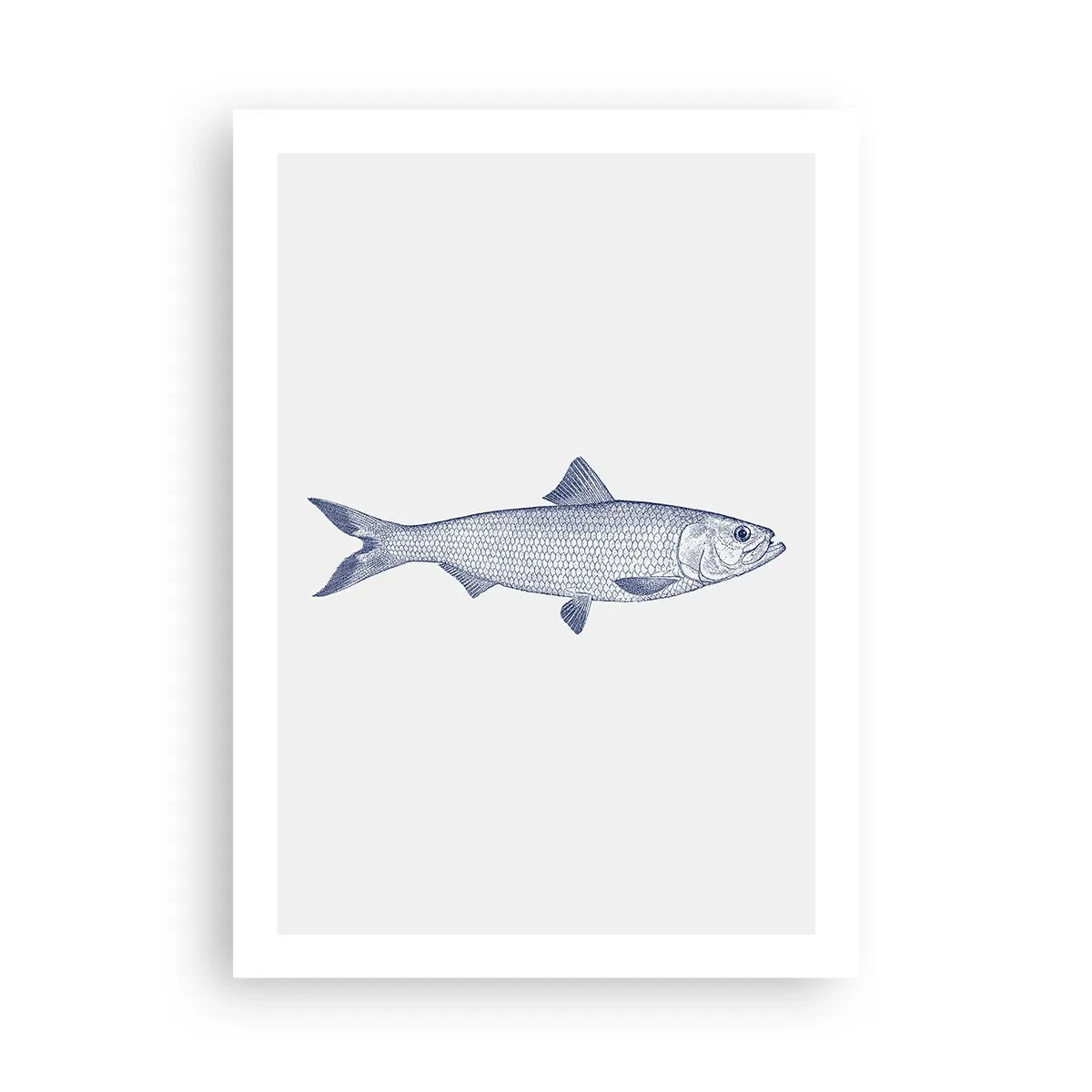 Plakat - Hilsner fra de nordlige have - 50x70 cm