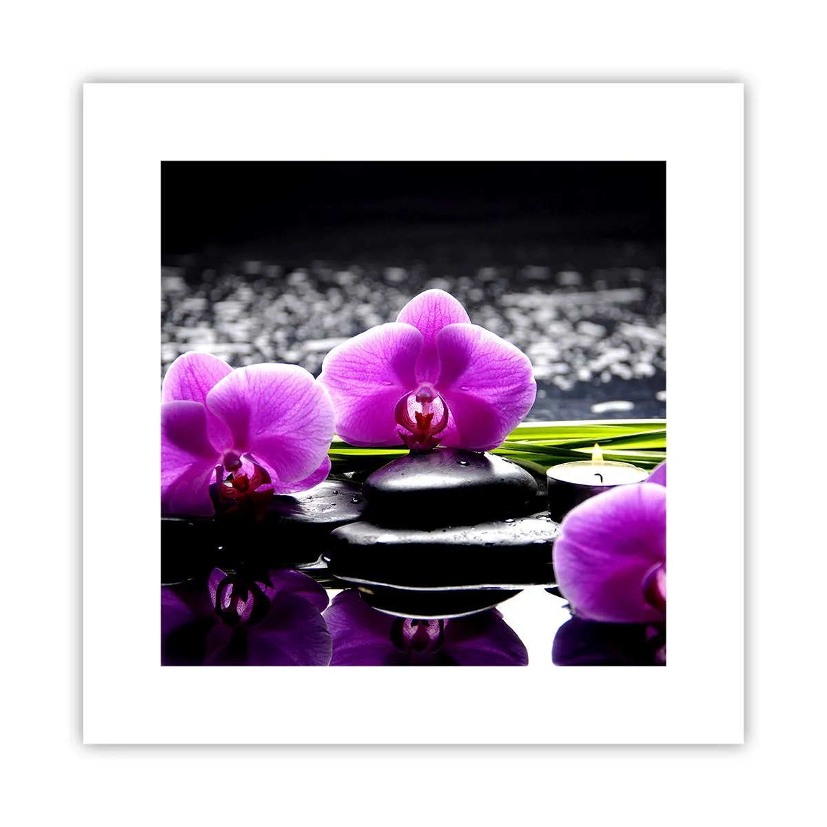 Plakat - Drukne i fred og ro - 30x30 cm