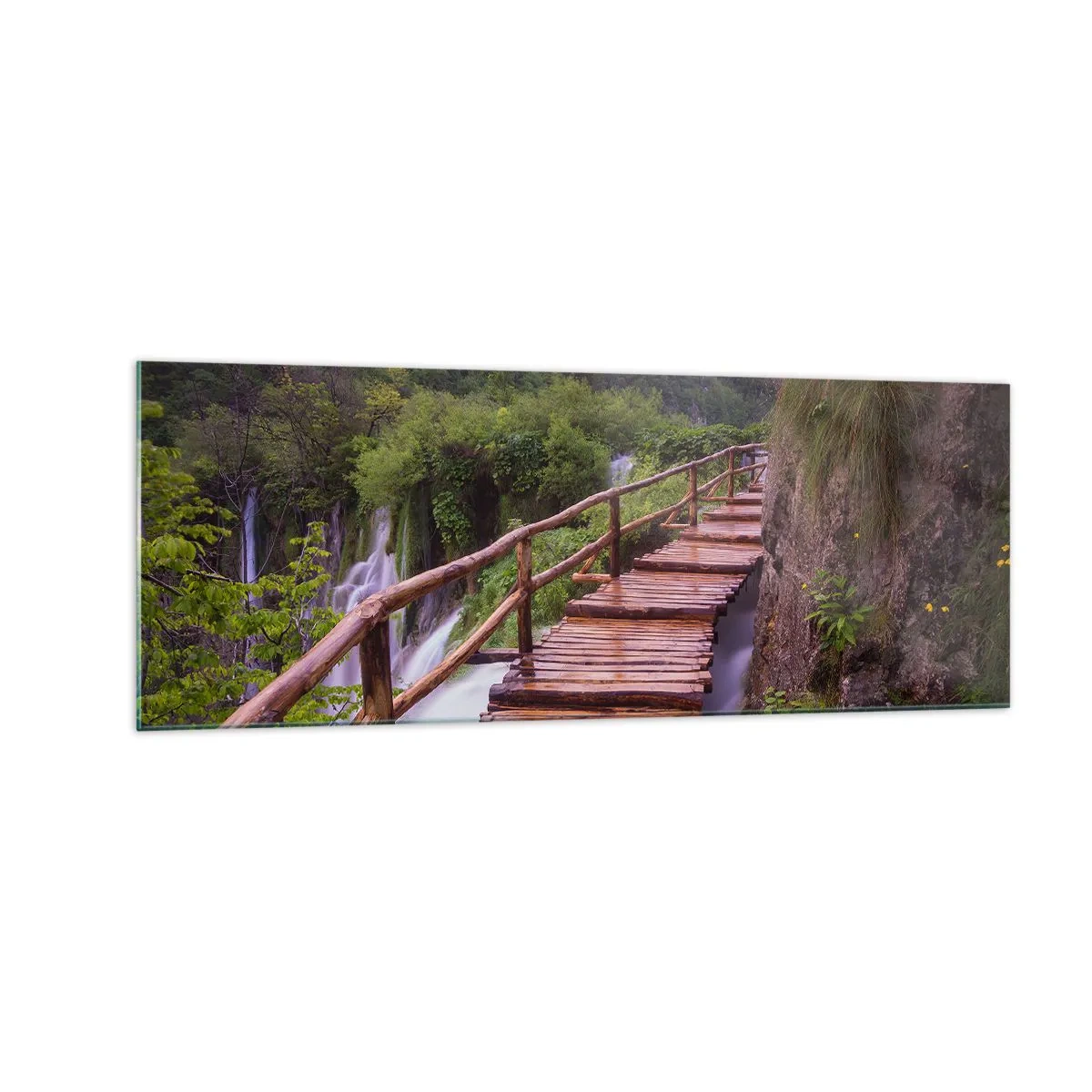 Billede på glas - En utrolig skønhed - 140x50 cm