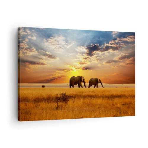 Lærredstryk - Billede på lærred - Elefanter på savannen ved solnedgang - 70x50cm - Familievandring - Moderne vægdekoration til stue og soveværelse ARTTOR