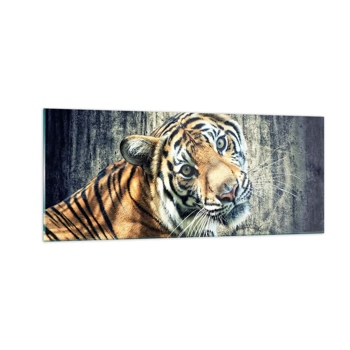 Billede på glas - Portræt i lysstrømme - 100x40 cm