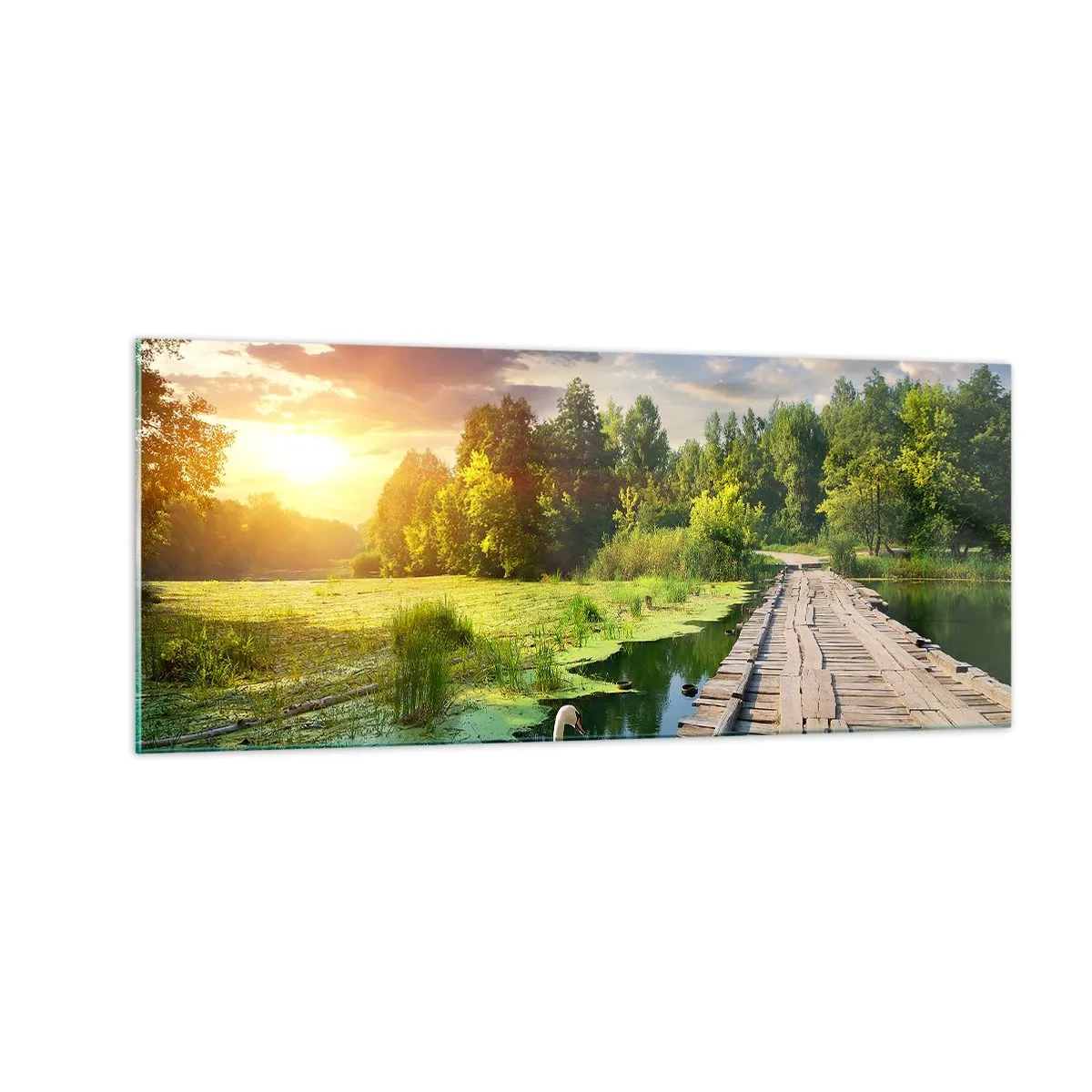 Billede på glas - Sommer, sommer overalt - 100x40 cm