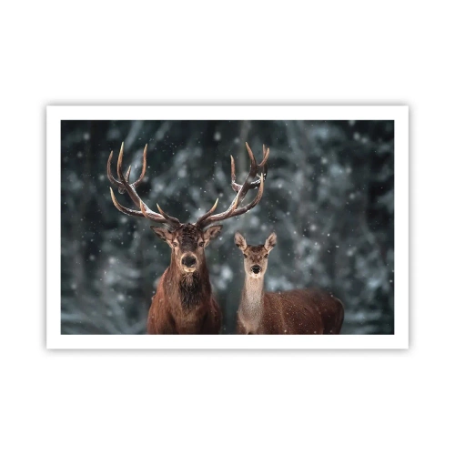 Plakat - Skovens herre og hans kone - 91x61 cm