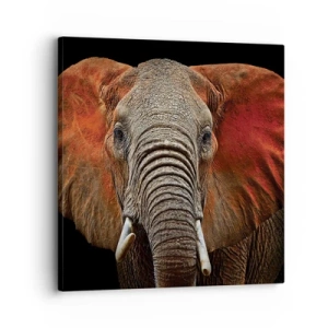 Lærredstryk - Billede på lærred - Jeg er vild, er du? - 30x30 cm