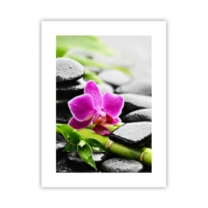 Plakat - I en fredelig balance - 30x40 cm