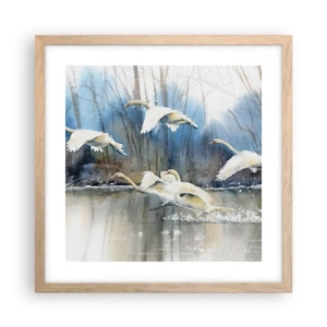 Plakat i ramme af lyst egetræ - Som i en fortælling om vilde svaner - 40x40 cm