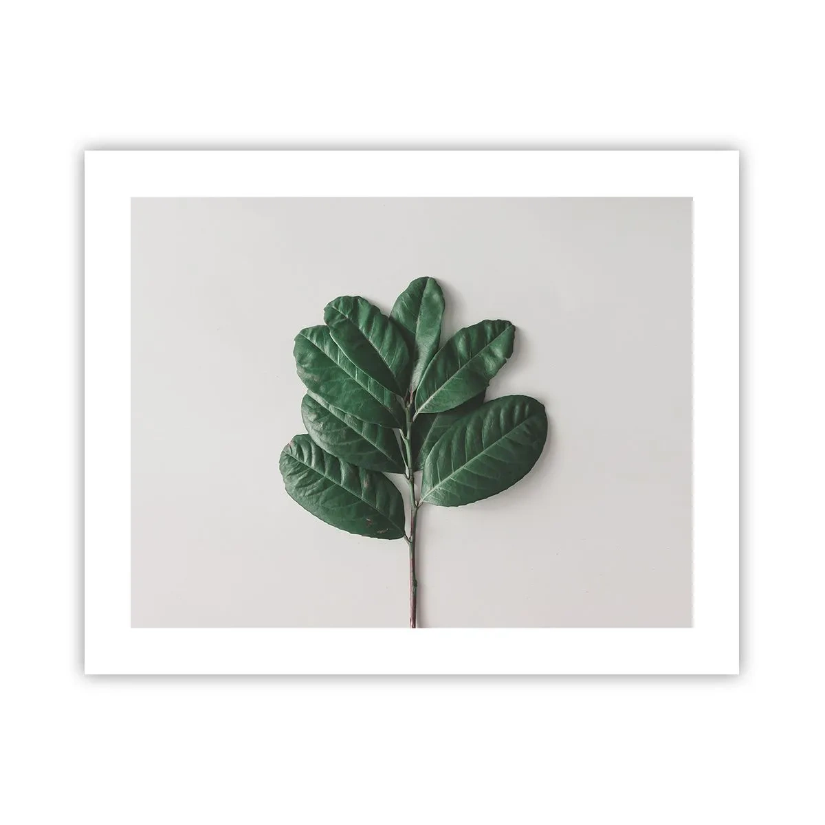 Plakat - Tegning af selve naturen - 50x40 cm