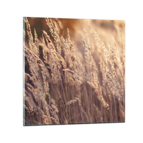 Billede på glas - Klar til at byde efteråret velkommen - 70x70 cm