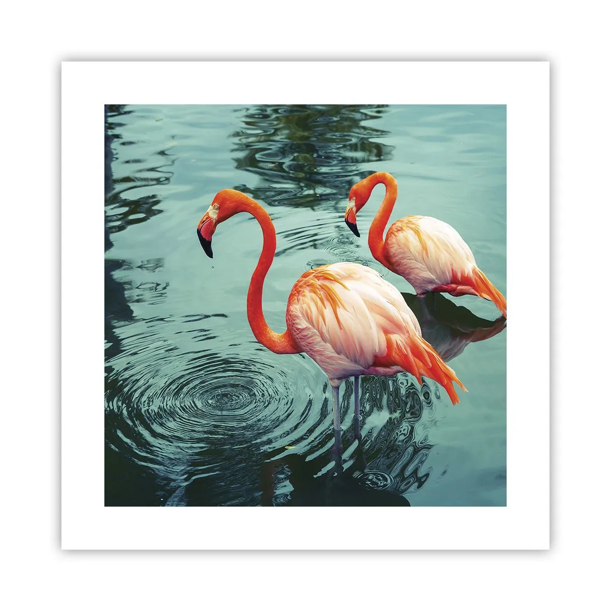 Plakat - Vi er nu på mode - 40x40 cm