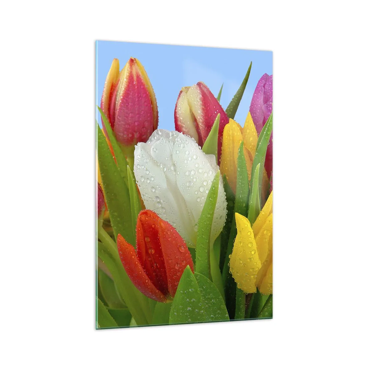 Billede på glas - En blomstret regnbue i dugdråber - 70x100 cm