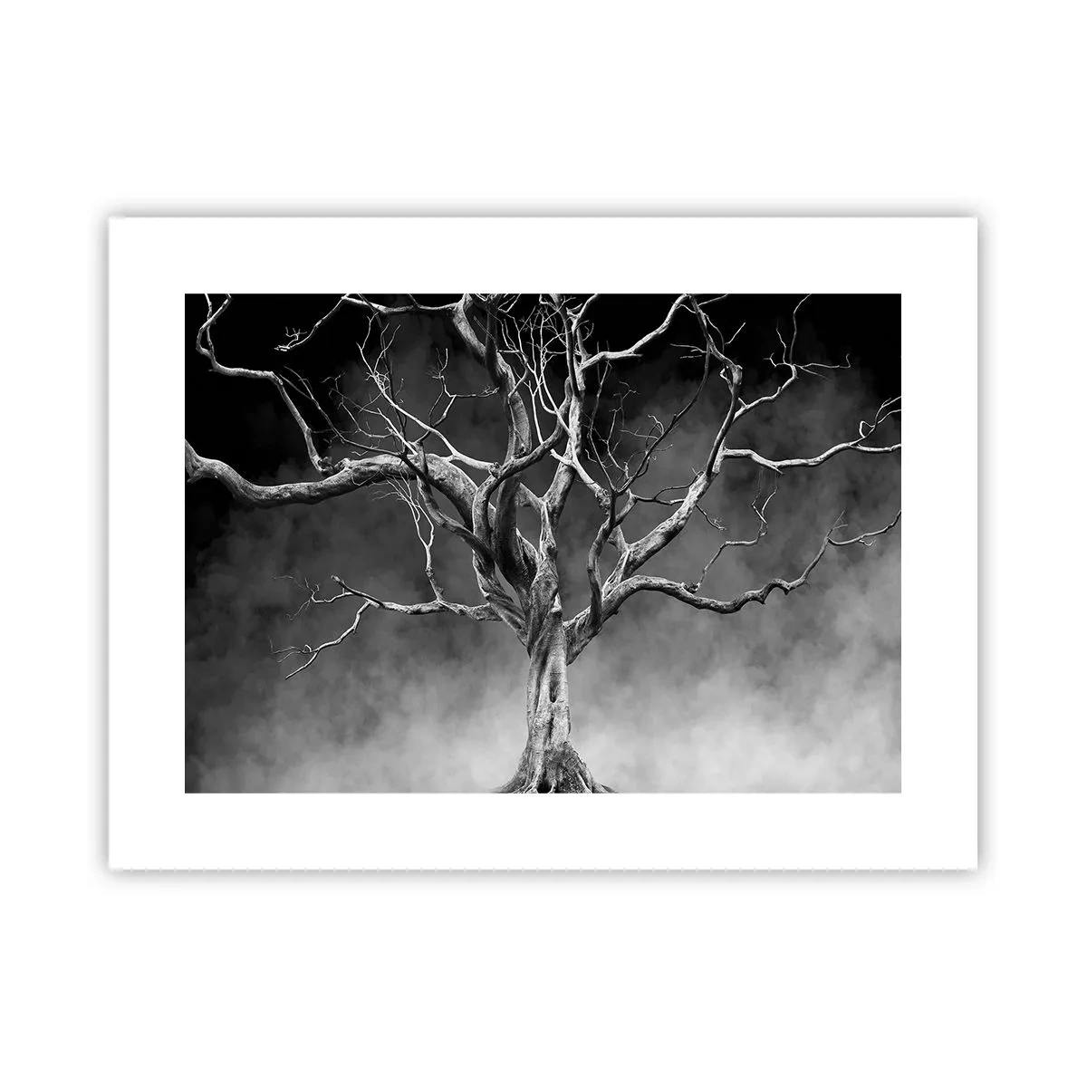 Plakat - Primær og hellig - 40x30 cm