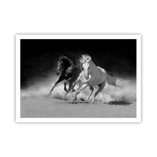 Plakat - Frihedens galop - 100x70 cm