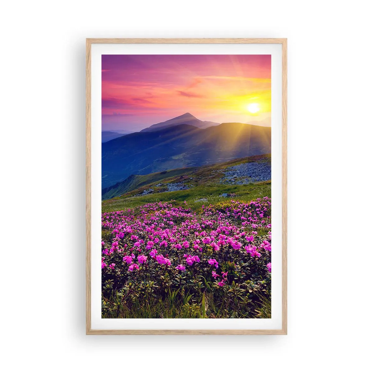 Plakat i ramme af lyst egetræ - ... Og rundt omkring dufter det af fyrretræer og krydderurter - 61x91 cm
