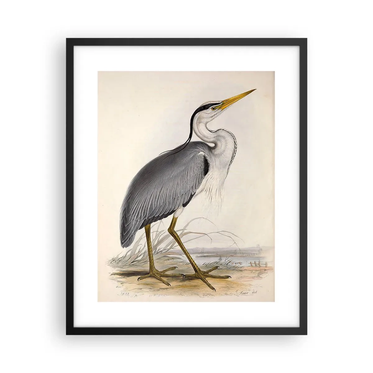 Plakat i sort ramme - Fiskehejre-charme - 40x50 cm