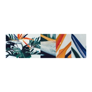 Prøve Fototapet Premium Sand - Fuglebur - Planter, Boho, Eksotisk - 100x30 cm